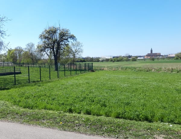 Sommertreffen des Lernort Kislau e. V.